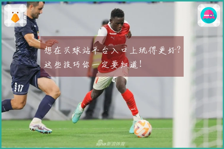 想在买球站平台入口上玩得更好？这些技巧你一定要知道！