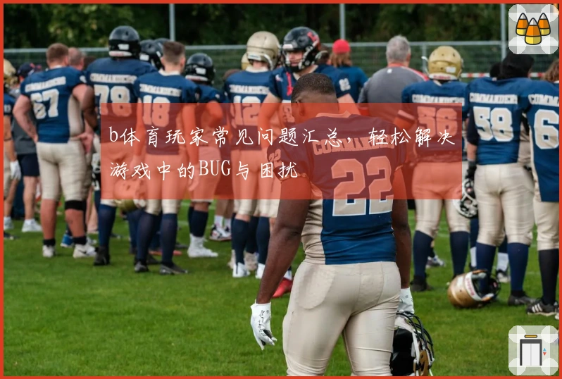 b体育玩家常见问题汇总，轻松解决游戏中的BUG与困扰